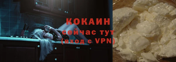 стаф Абинск