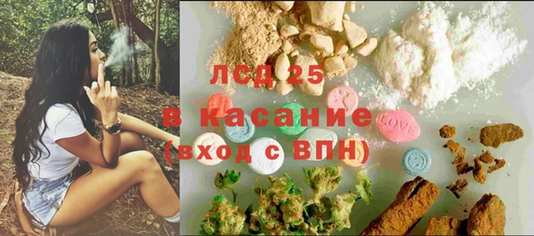 стаф Абинск
