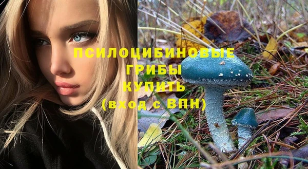 ГАЛЛЮЦИНОГЕННЫЕ ГРИБЫ Абдулино