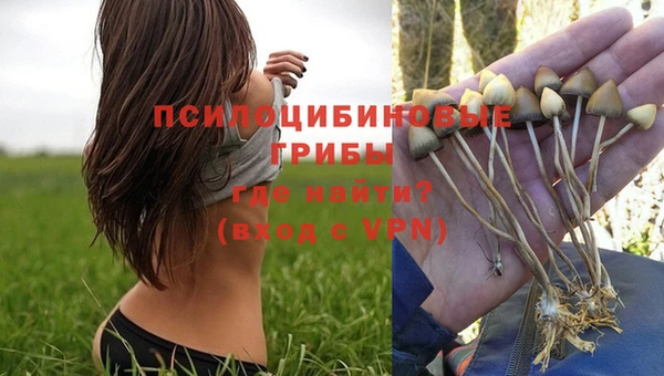 ГАЛЛЮЦИНОГЕННЫЕ ГРИБЫ Абдулино