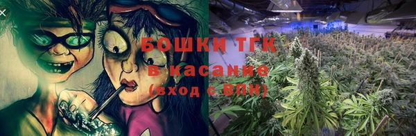 сатива Абаза