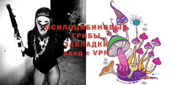 ГАЛЛЮЦИНОГЕННЫЕ ГРИБЫ Абдулино
