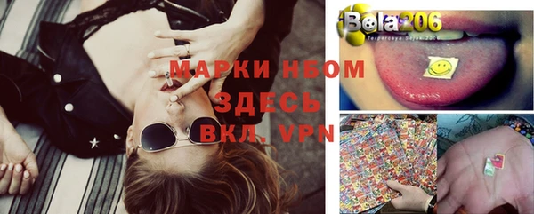 прущие грибы Алексеевка