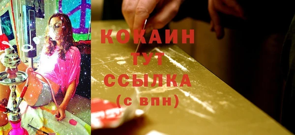 сатива Абаза