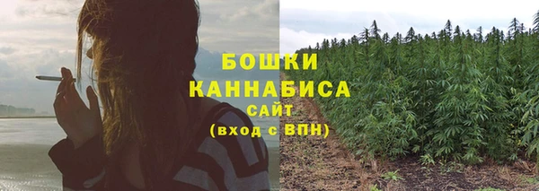 ГАЛЛЮЦИНОГЕННЫЕ ГРИБЫ Абдулино